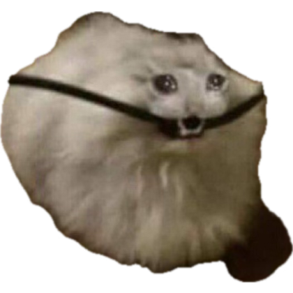 AVA MIND tweet media