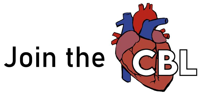 The Cardiovascular Biomechanics Lab (cbl.engr.wisc.edu) is currently seeking motivated individuals with interests in computational modeling, biomechanics, and advanced analysis for PhD Graduate Research Assistantships. Come join us in Fall 2025!