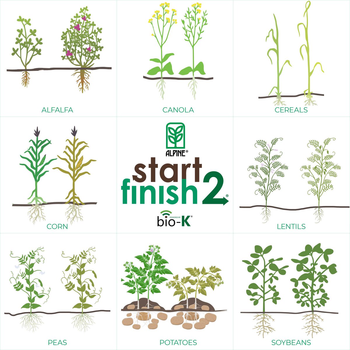 Maximize your crop's potential with the ALPINE Start2Finish program! Discover a comprehensive liquid fertilizer system powered by Bio-K to elevate your crops to the next level. Learn more at alpinepfl.com/start2finish. #B10K #BioK #ALPINE #Start2Finish
