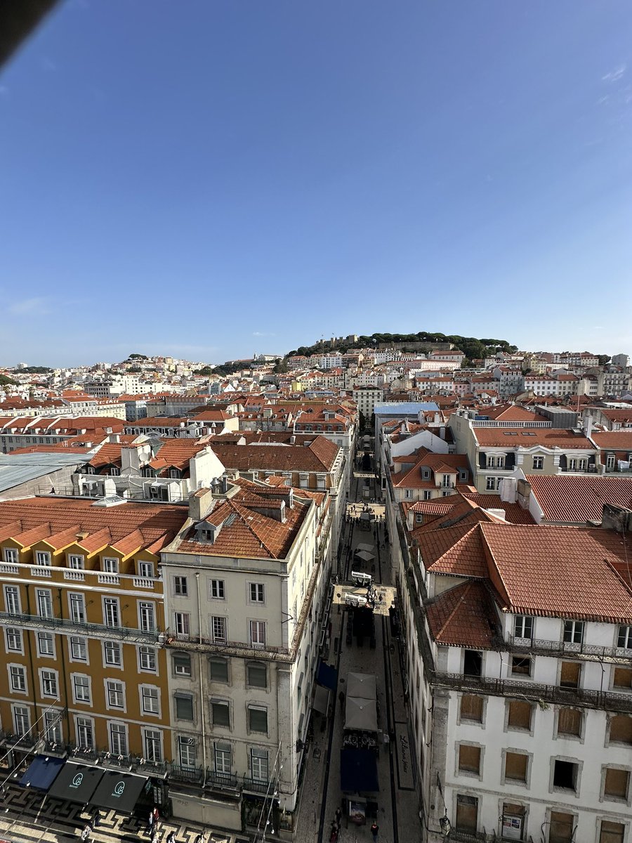 Claudio Sona tweet media