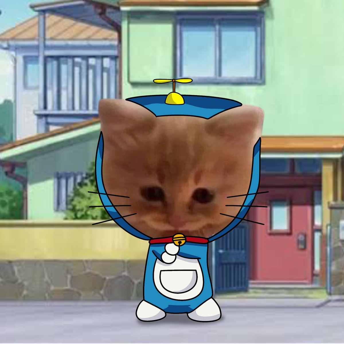 Gmeow kittens.

#PUMPCAT $PUMPCAT
