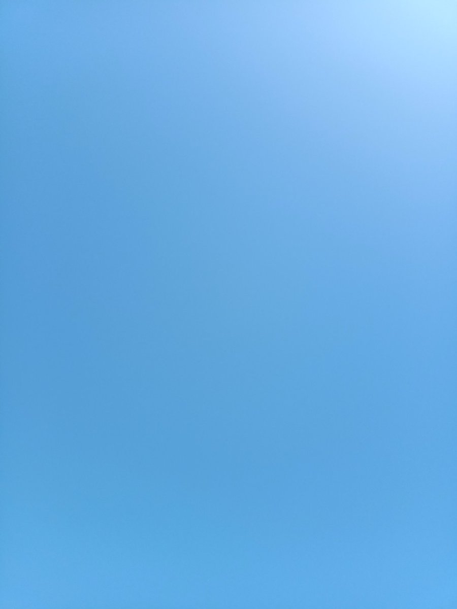 Marc Hall tweet media