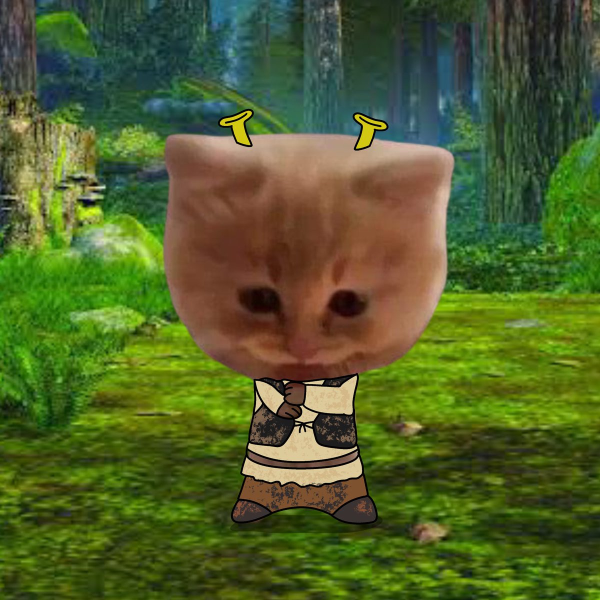 who is ready to cry tears of joy?

#PUMPCAT $PUMPCAT