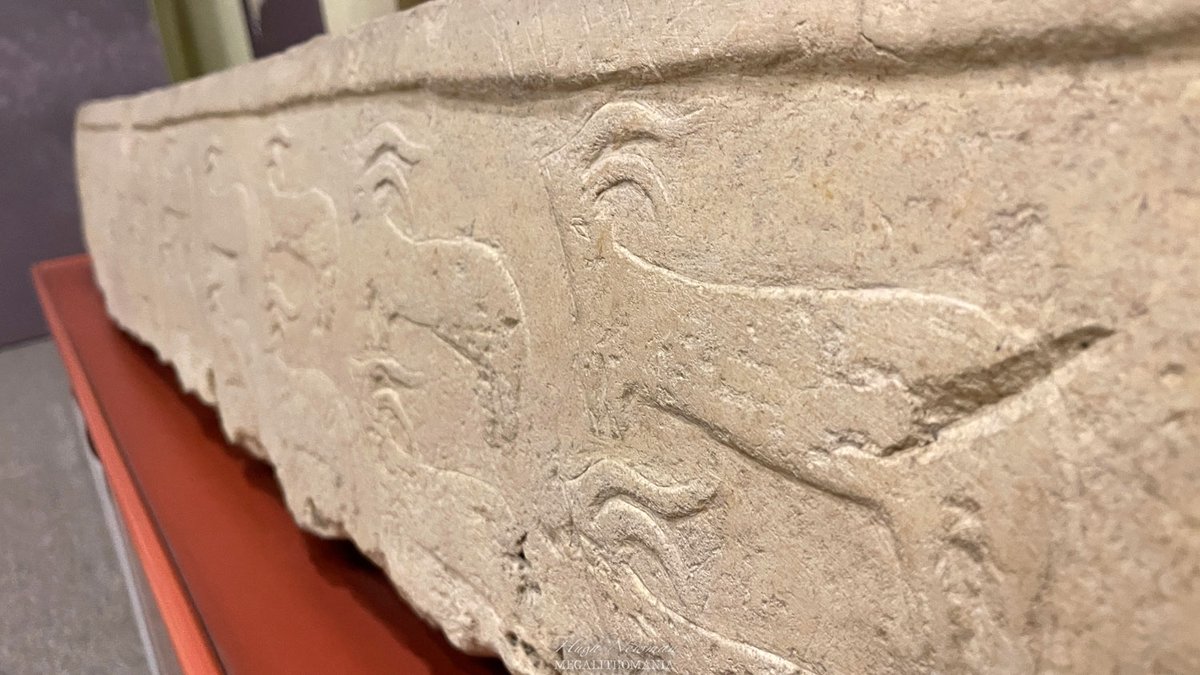 MEGALITHOMANIA's tweet photo. Photos of stunning statues and a tiny temple model from the remarkable National Museum of Archaeology in Valletta, Malta. See the new video https://t.co/8Z18aR4SnY
https://t.co/8A4lkwsSc1
#malta #valletta #goddess #tarxien #maltatour https://t.co/mF1Pdzh9nW