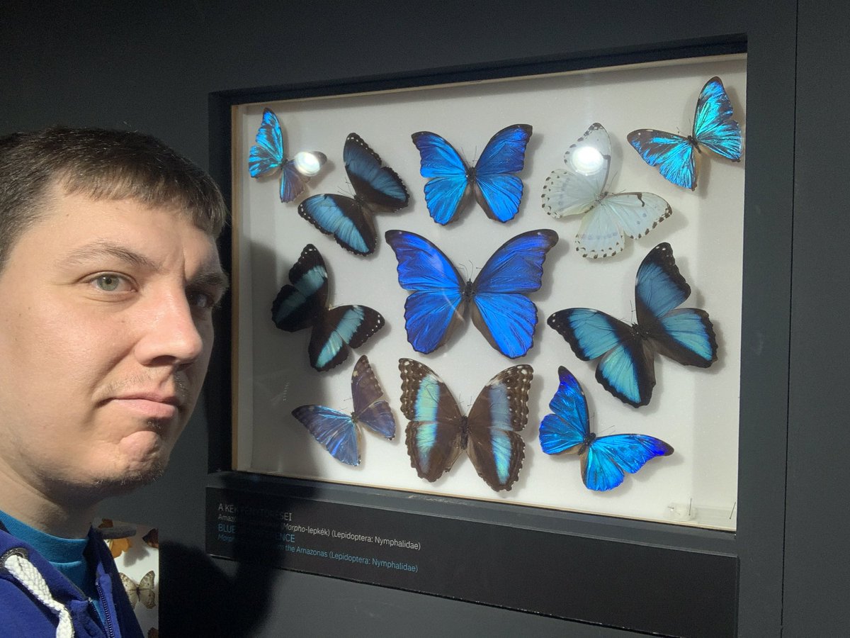 Vidra Gábor tweet media