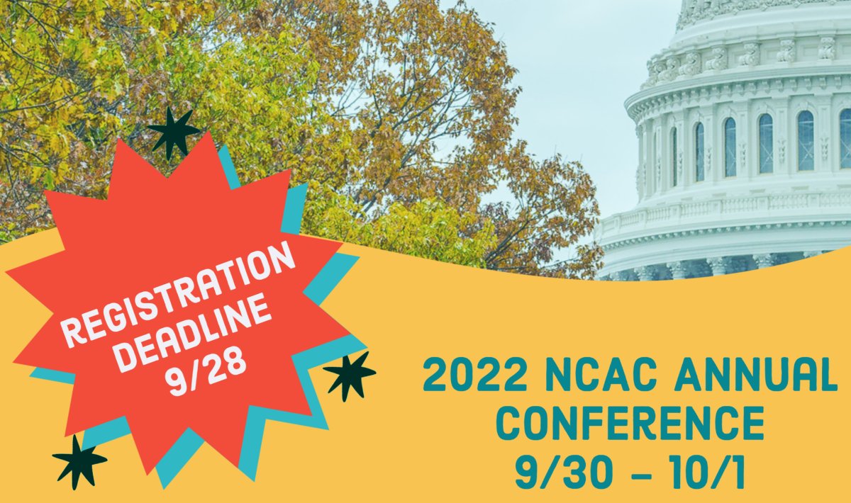 NCAC_APA's tweet photo. Call for Nominations for the 2025-2026 NCAC Board✍️ - https://t.co/LxUgEW0Ggx https://t.co/y3afZoO57S