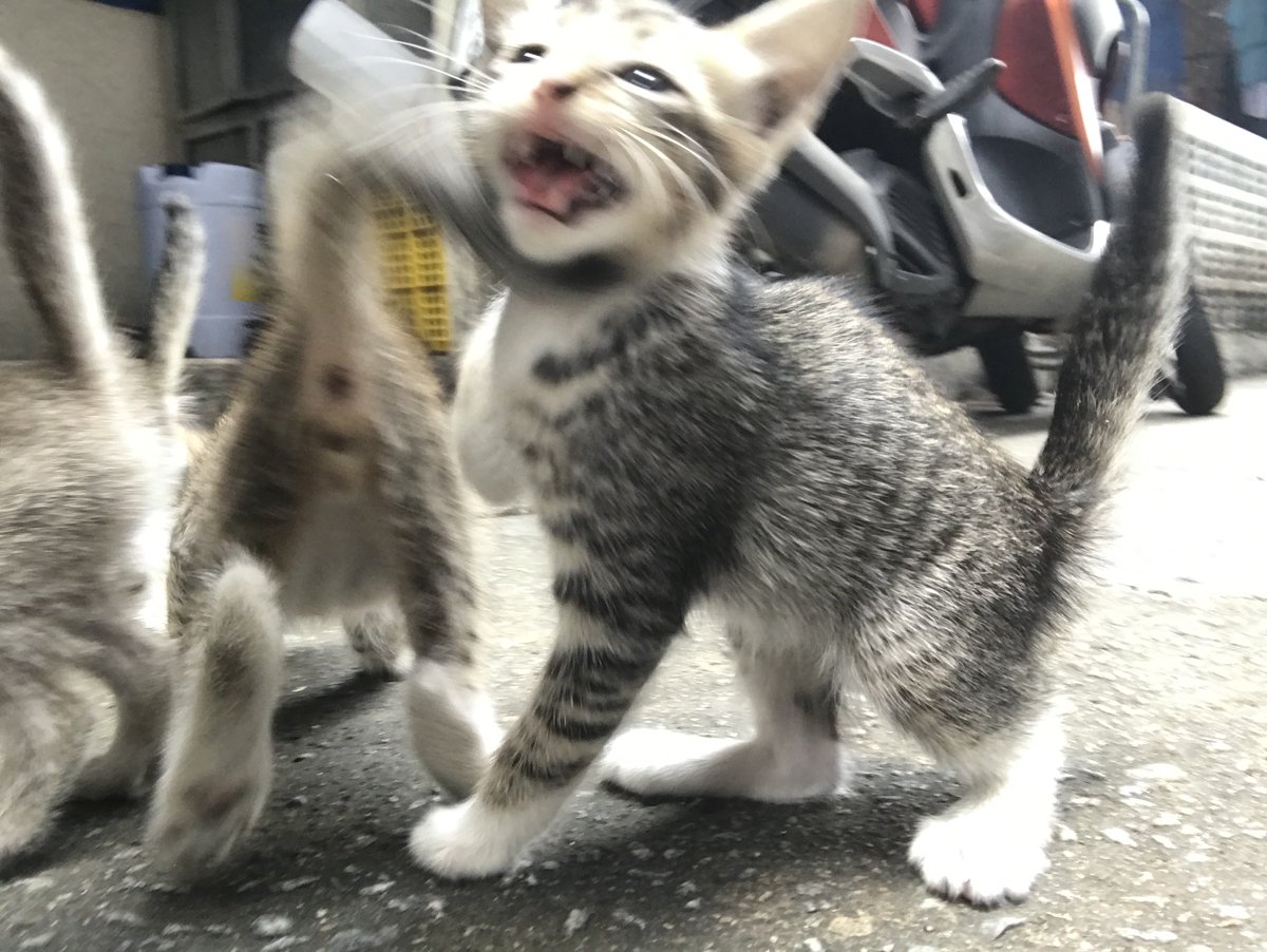 渐入 (@vanlounge7788) on Twitter photo 