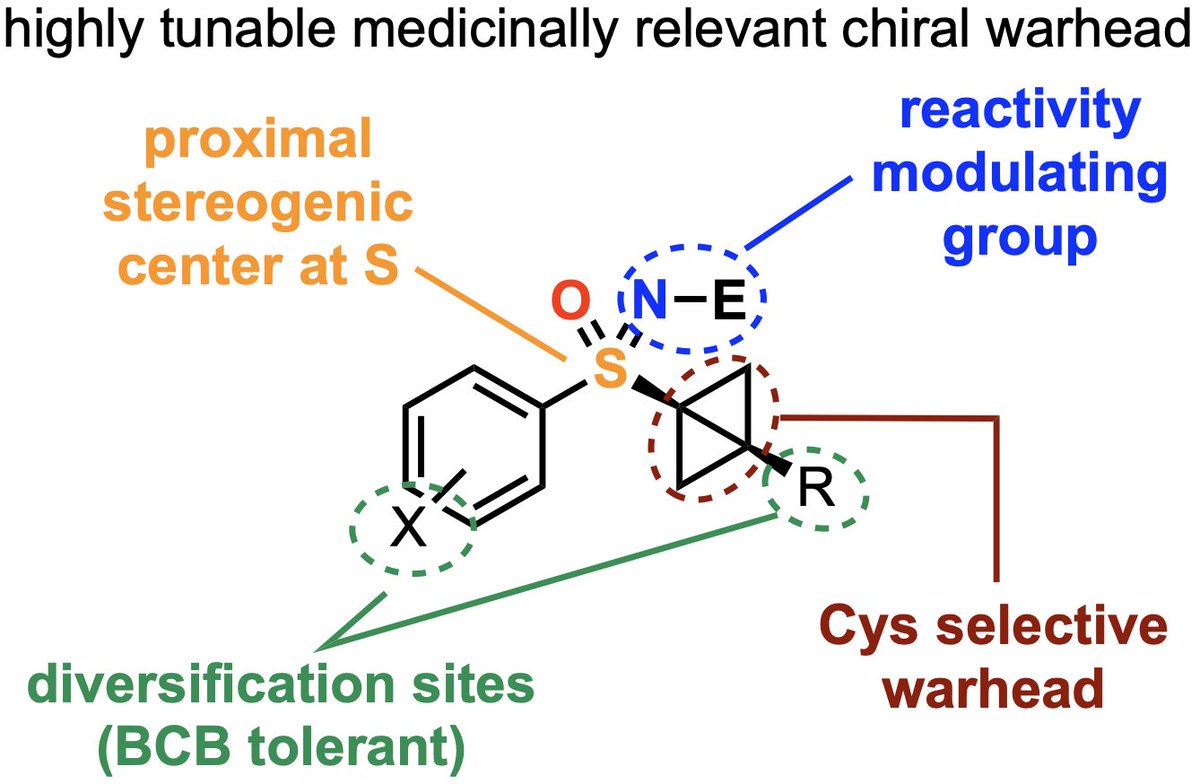 Bull Group Chemistry (@jamesabull) on Twitter photo Delighted to report our studies on the synthesis and functionalization of BCB-sulfoximines <a href="/angew_chem/">Angewandte Chemie</a> doi.org/10.1002/anie.2ā¦
(short š§µ) Delighted to report our studies on the synthesis and functionalization of BCB-sulfoximines <a href="/angew_chem/">Angewandte Chemie</a> doi.org/10.1002/anie.2ā¦
(short š§µ)