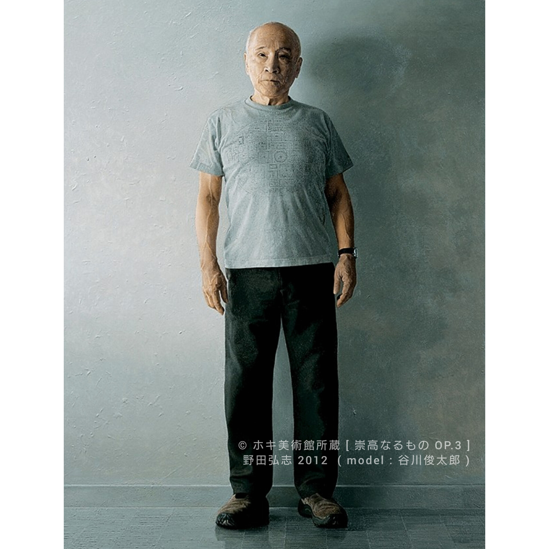 野田弘志 写実照応 米倉守編 求龍堂グラフィックス 1994 野田弘志: 写実照応 (求龍堂グラフィックス) | 野田 弘志, 米倉