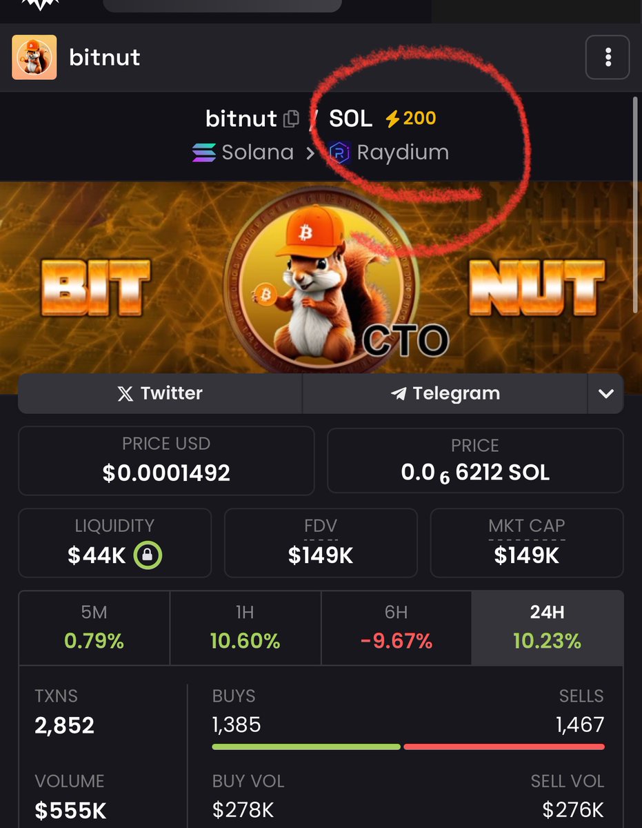Oh yeah we are very serious in sending this beauty 🔥📈🟡🐿️ Community we have is a blessing❤️ $Bitnut #bitnut