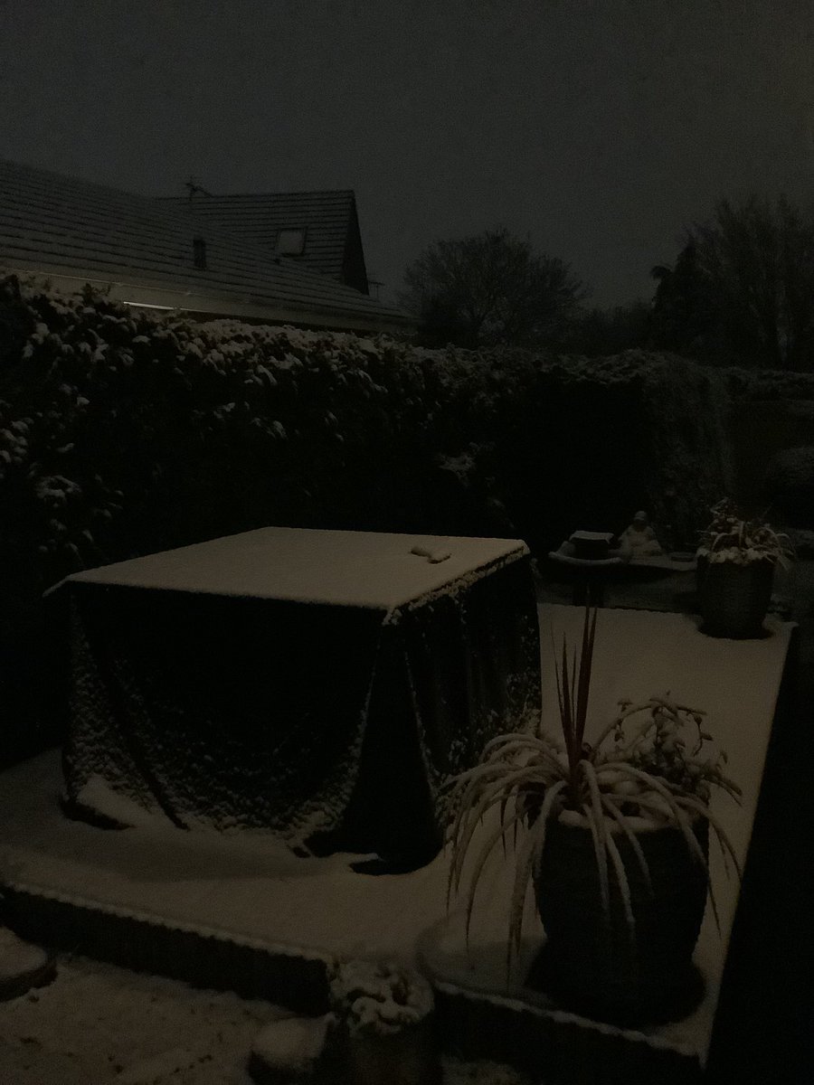 Pauline Millership tweet media