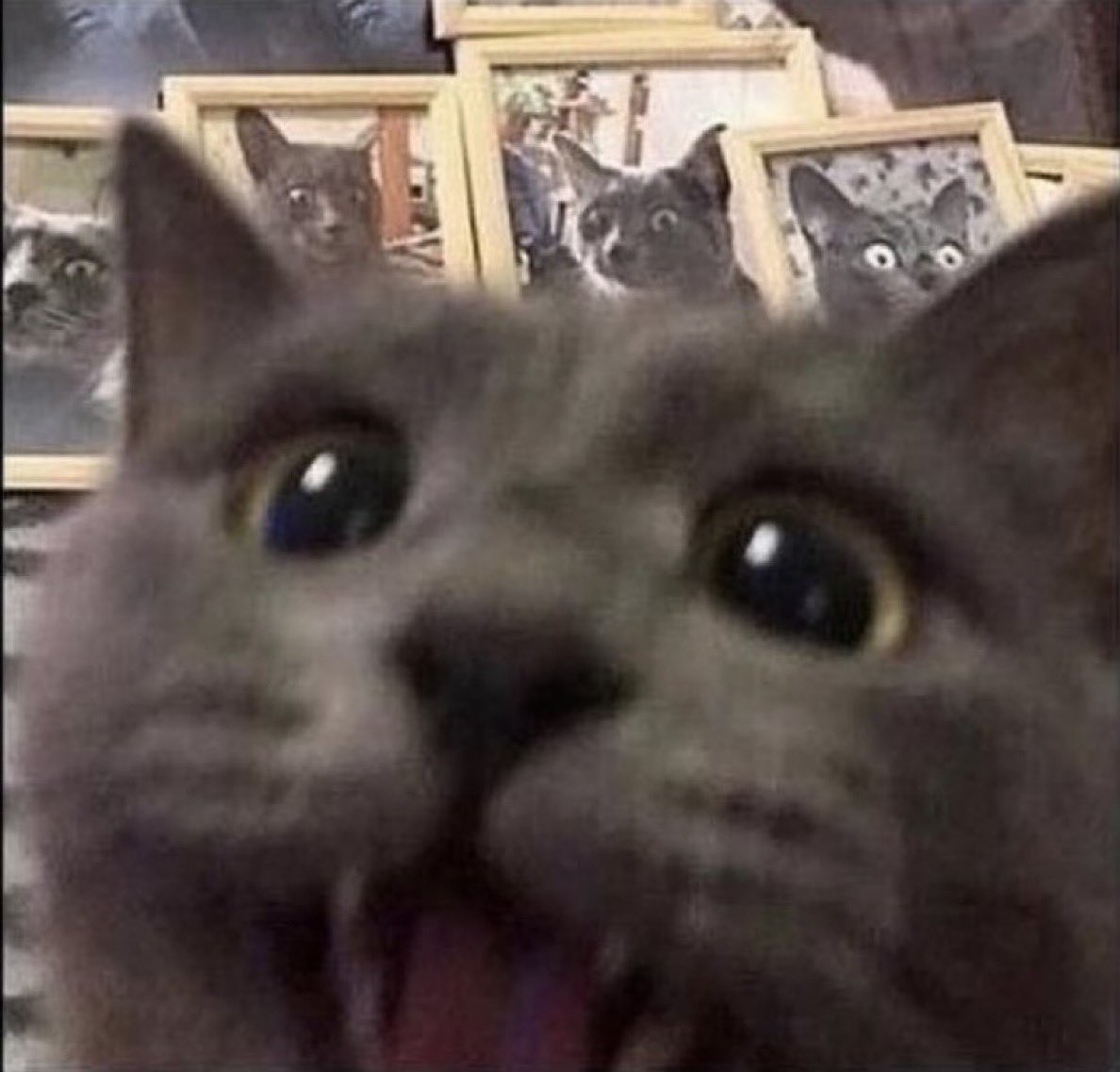 KEVbayer tweet media