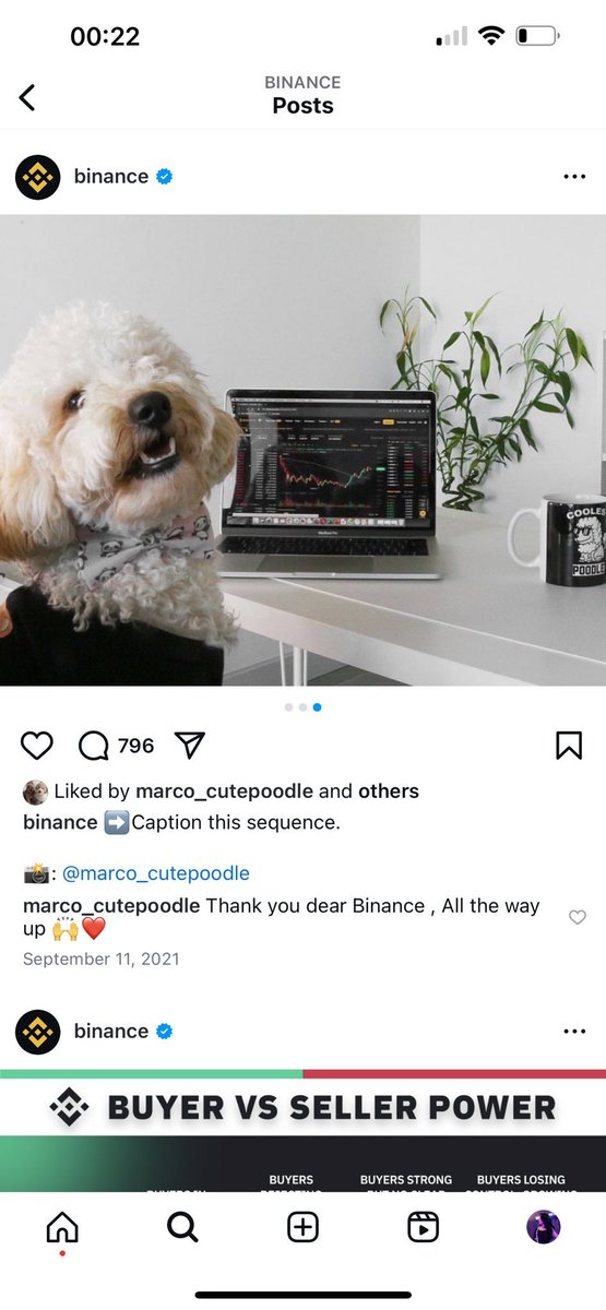 monteraslie's tweet photo. @mrsolana69 $MARCO ser 👀

You wouldn't believe me if I told you its the name of @binance dog 🔥

@MarcoOnSol https://t.co/OScpfPsqxG