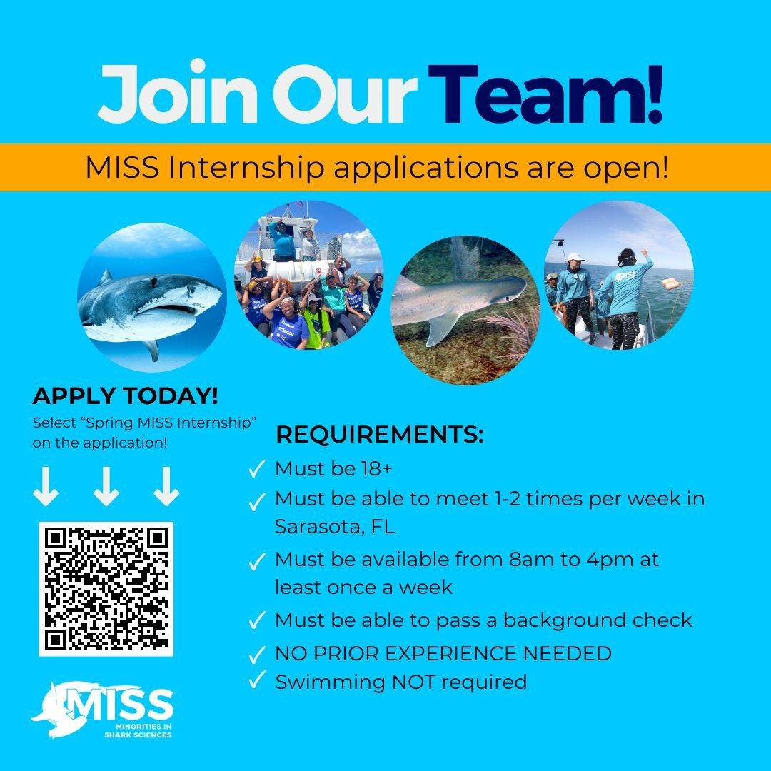 MISS Internship applications are now open! Join us this spring to start your journey into #marinescience. 🦈 

Learn more and start your application at the link below! Be sure to check the box that says SPRING MISS INTERNSHIP on the application! ✅ 

buff.ly/4fUUzwR