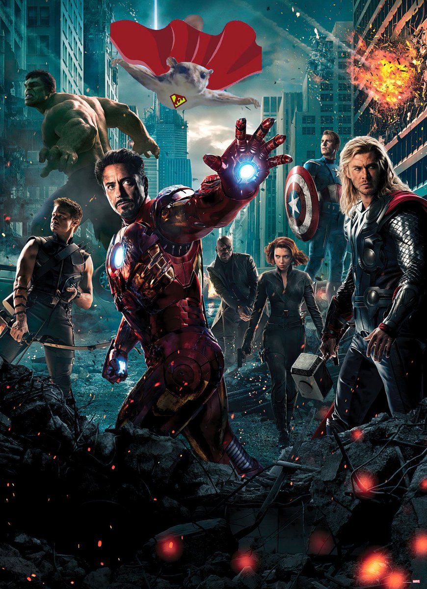 The Flippengers - soon to be released. 🐿