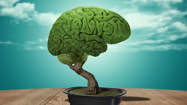 The Graduate Center (@gc_cuny) on Twitter photo Can we lower our risk of dementia as we age? Neuropsychologists <a href="/ManlyEpic/">Dr. Jennifer Manly</a>, <a href="/n_sfol/">NSFoldi</a>, Desiree Byrd, and E. Susan Duncan share science-backed strategies for boosting brain health gc.cuny.edu/news/aging-bra… <a href="/asrc_gc/">CUNY ASRC</a> <a href="/QC_News/">Queens College | The City University of New York</a> @gccuny @gradcenterpsych Can we lower our risk of dementia as we age? Neuropsychologists <a href="/ManlyEpic/">Dr. Jennifer Manly</a>, <a href="/n_sfol/">NSFoldi</a>, Desiree Byrd, and E. Susan Duncan share science-backed strategies for boosting brain health gc.cuny.edu/news/aging-bra… <a href="/asrc_gc/">CUNY ASRC</a> <a href="/QC_News/">Queens College | The City University of New York</a> @gccuny @gradcenterpsych