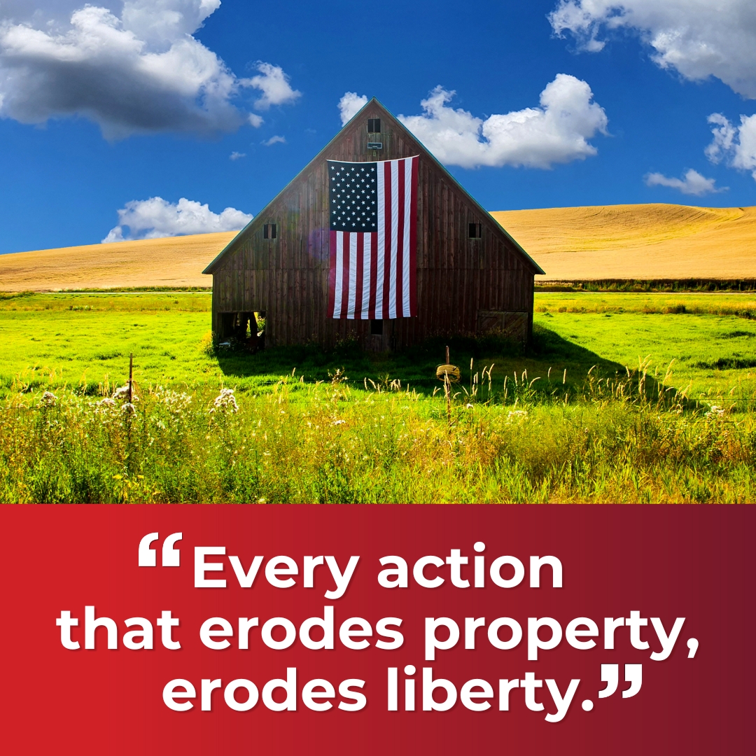 American Stewards of Liberty tweet media