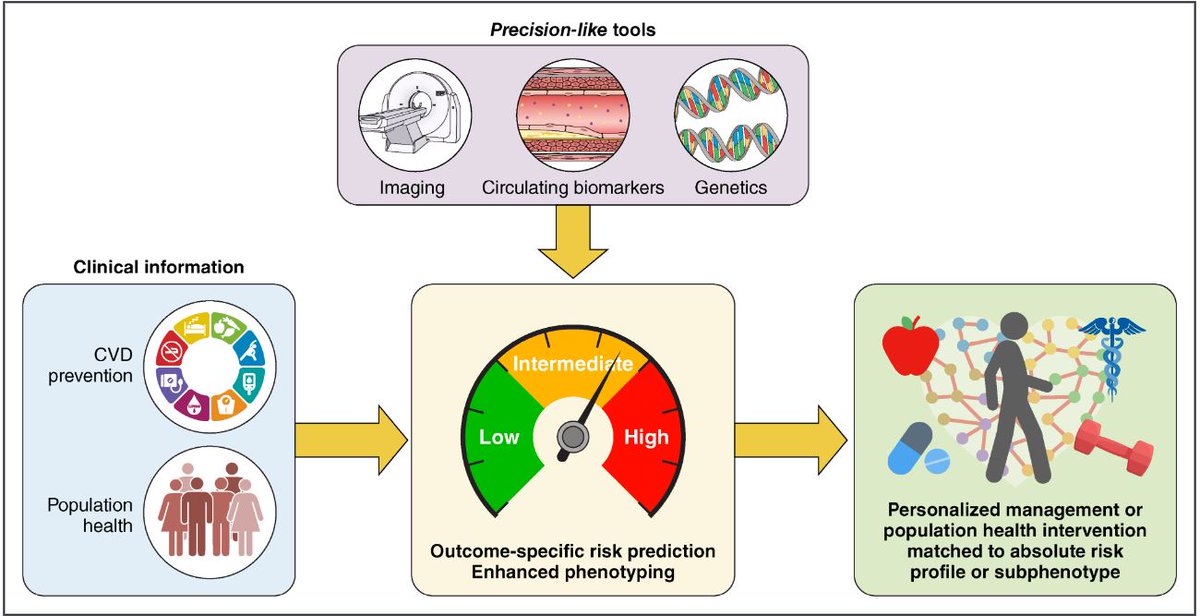 A precision-like approach to CV prevention and population health with outcome-specific risk prediction to guide decision-making. <a href="/dramitkhera/">Amit Khera</a>  @FernandoGiugn <a href="/UTSWMedCenter/">UT Southwestern Medical Center</a> ahajournals.org/doi/full/10.11…