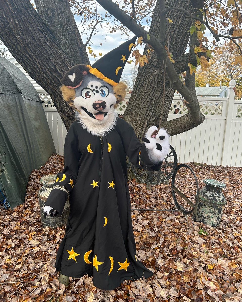 Fruity_phorgs's tweet photo. @griverthecoyote <33 https://t.co/5d5VHCSiCm