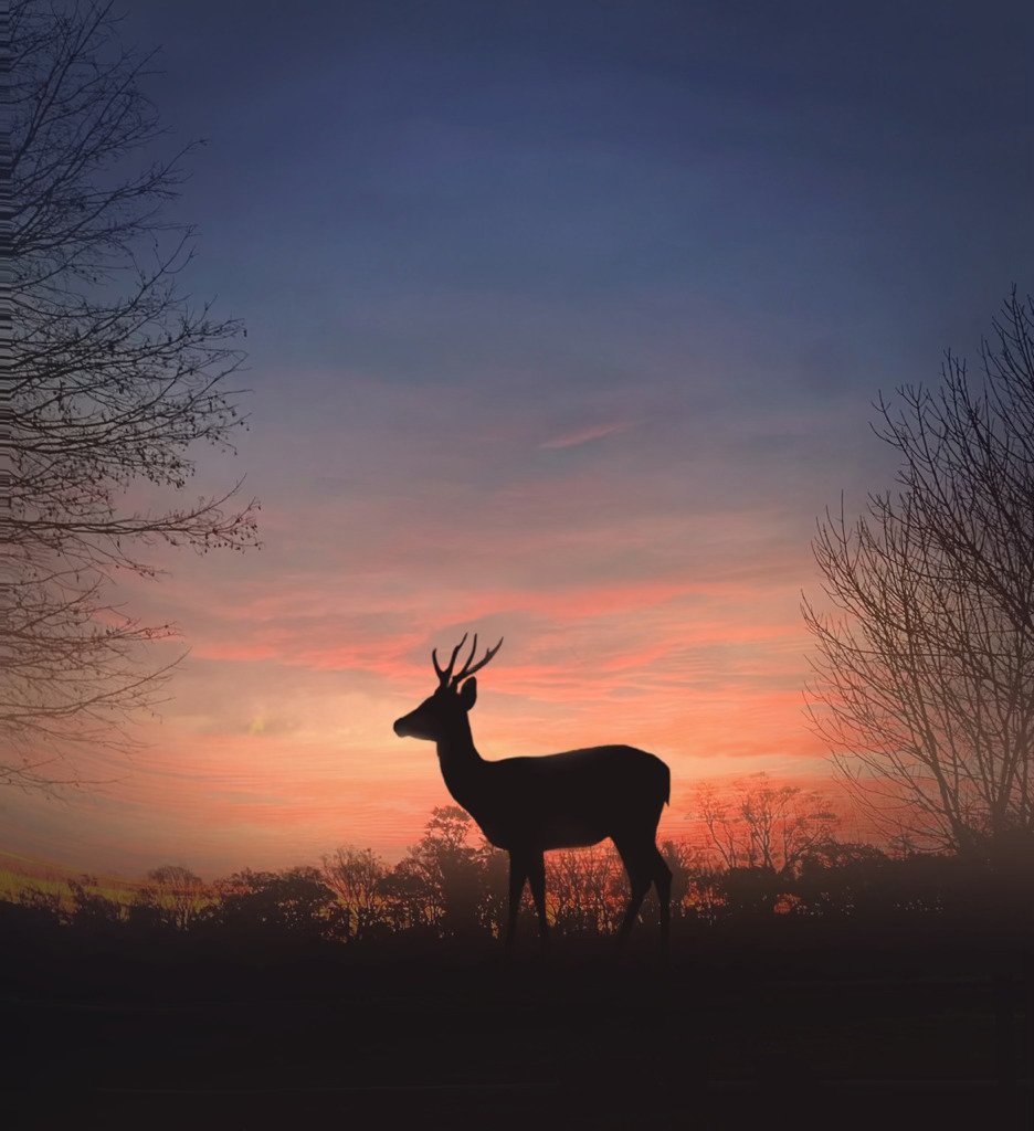 Congratulations to Sophia Villa, a 9th-grader at Biotechnology High School, for earning third place in the Monmouth County Clerk's High School Photography Contest. Her accomplishment reflects the creativity and skill that truly show excellence is in our DNA! @monmouthcountyclerk