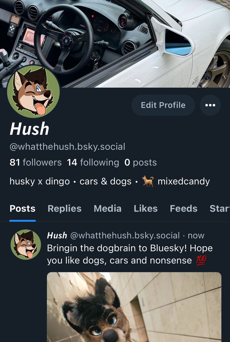 𝙝𝙪𝙨𝙝 tweet media