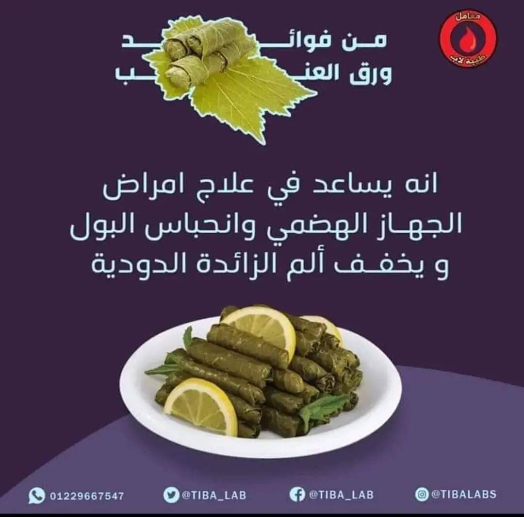 Tiba_Lab's tweet photo. ورق العنب ☘️🍇

 يعتبر من الاكلات المفضلة😋 عند الكثيرين حيث أنه يحتوى على نسبة عالية من الفيتامينات والعناصر الغذائية الضرورية لصحة الجسم والبشرة🧘🏼‍♀️😌. 

✍️حيث:

✅يحتوى على كمية كبيرة من الفيتامينات والأحماض الدهنية اوميجا 3 والمواد المضادة للأكسدة
.
.
.
وغيره الكثير 👇 https://t.co/h9IfLqVrte