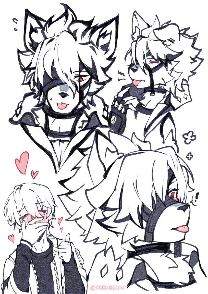 RhemeChan's tweet photo. lycaon blep https://t.co/e8N5YRZnBr
