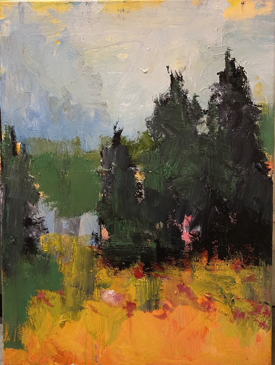 Ciaran Magill tweet media