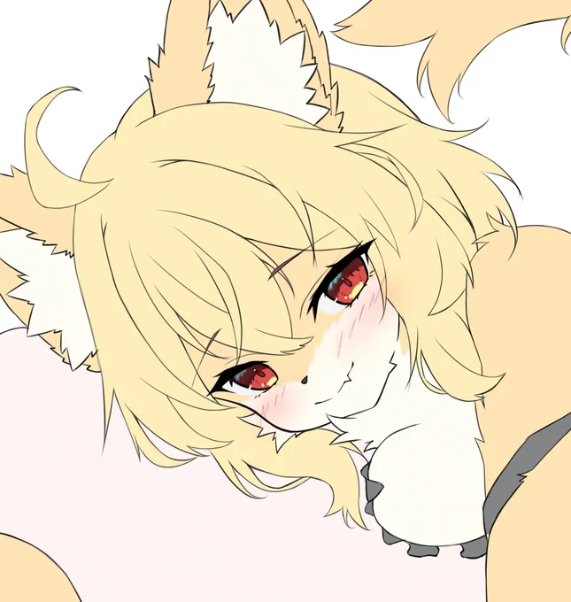 うぃp 