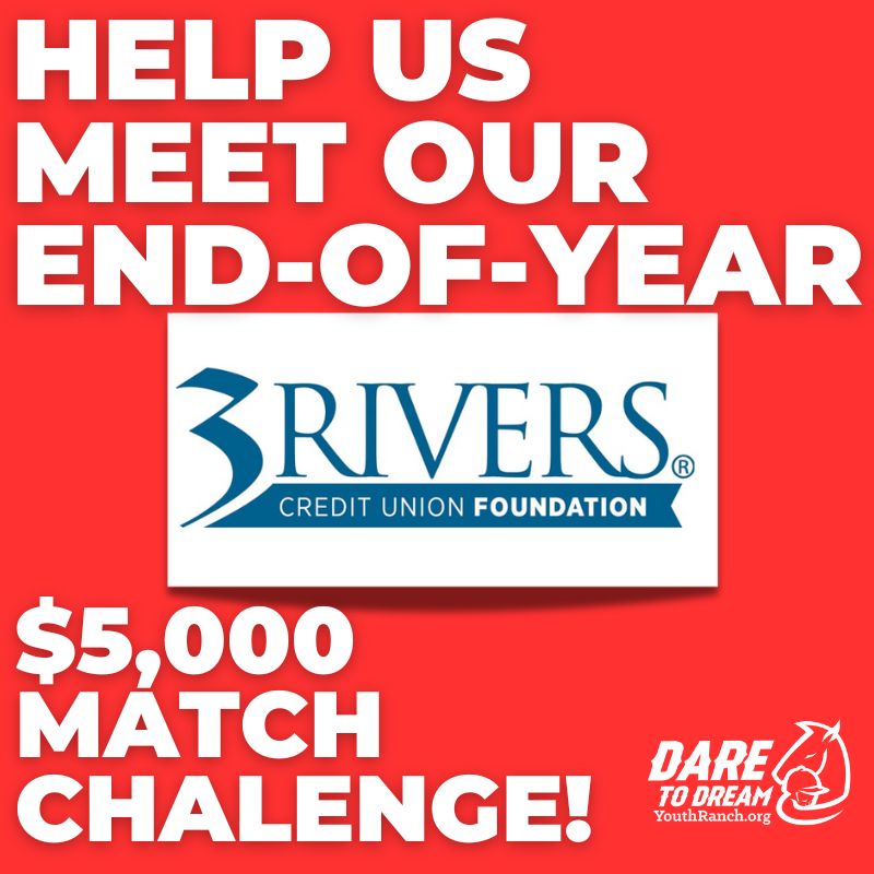WOW, WOW, WOW! TREMENDOUS NEWS!
We've been awarded a $5,000 matching grant from The 3Rivers Foundation!
That means every dollar you donate will be matched, up to $5,000! Don't wait, make your donation today right here! buff.ly/3AKOHHu