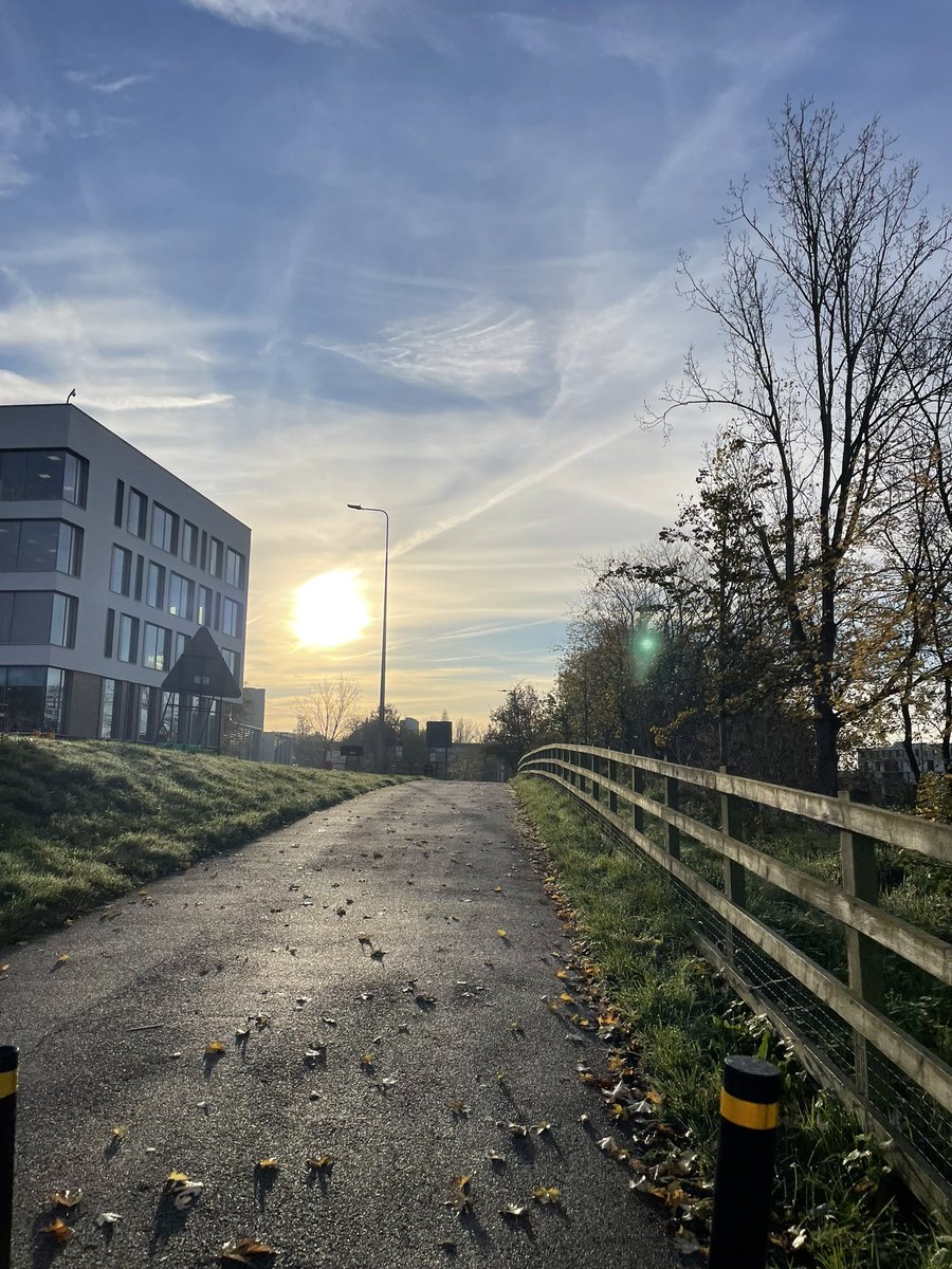 Feeling unmotivated? Pretend you're Rory Gilmore heading to study.
Crisp autumn air, stacks of books, and way too much coffee might just help get you in character ☕️🍂