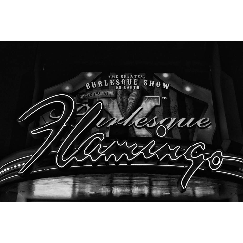 Toula Grayce Mavridou-Author & Photographer-No DMs tweet media