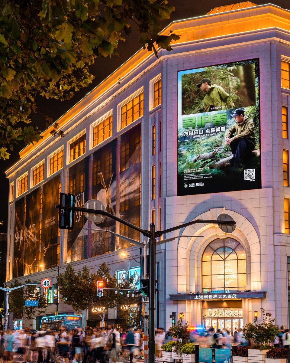 WildAid's tweet photo. Ahead of the "Defenders of the Hidden" premiere, we launched the “Light up Hope for Pangolins” campaign, featuring over 475,000 public displays, 200,000 airline ticket messages, and a PSA reaching millions across China about the critical importance of protecting pangolins. 🌏✨ https://t.co/lqpVIHgMEi