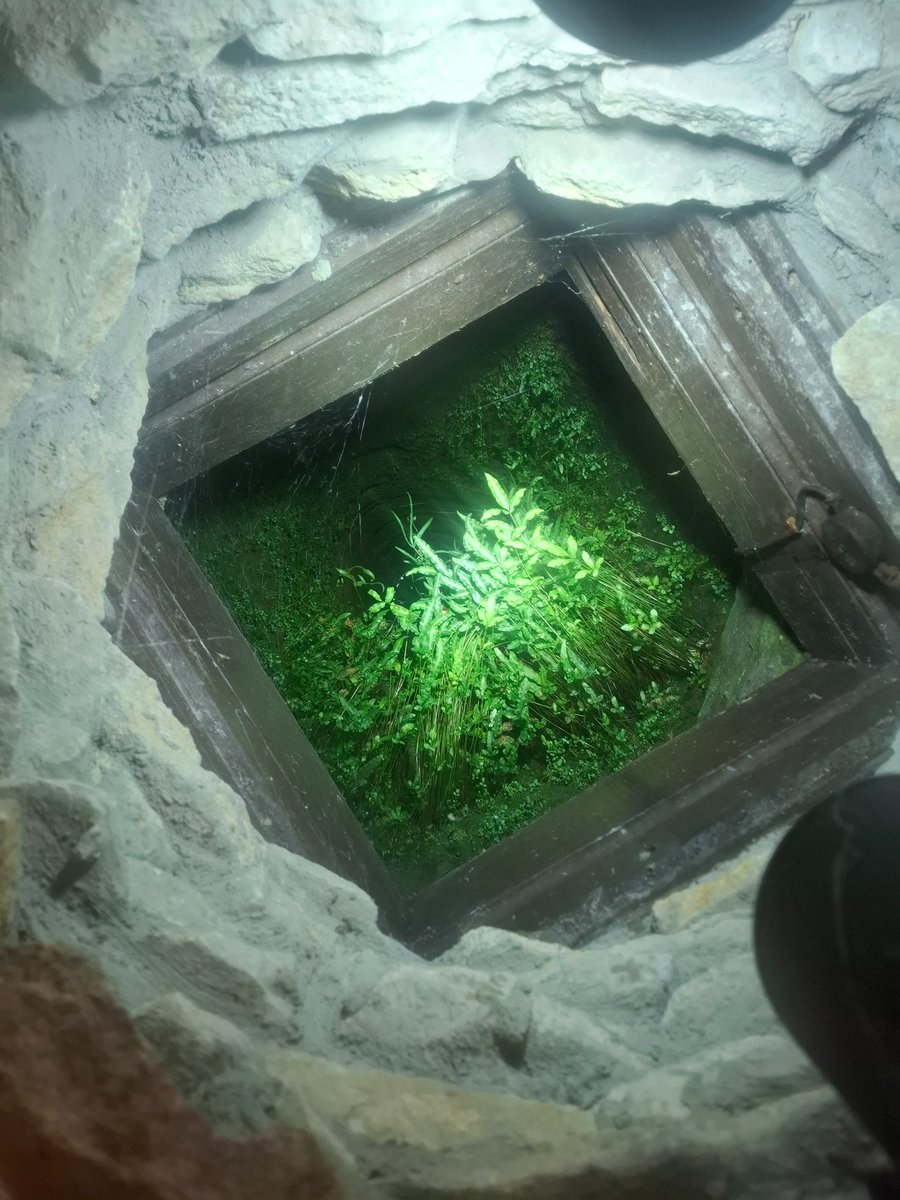 Simon d'Arras tweet media