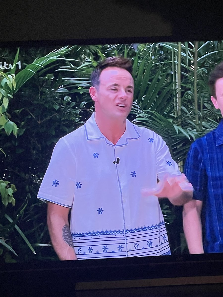 Tonight on <a href="/imacelebrity/">I'm A Celebrity... Get Me Out Of Here!</a> Ant’s shirt is like a ceramic decorative plate from either Greece 🇬🇷 or Spain 🇪🇸
