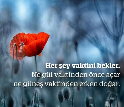 EKOTRADER (@ekotrader1) on Twitter photo 