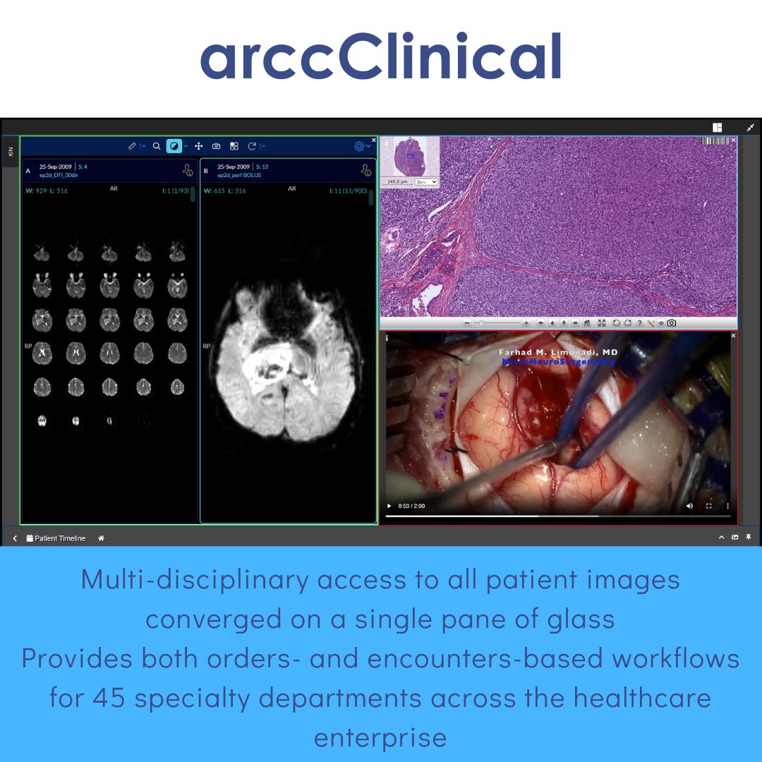 Apollo EI tweet media