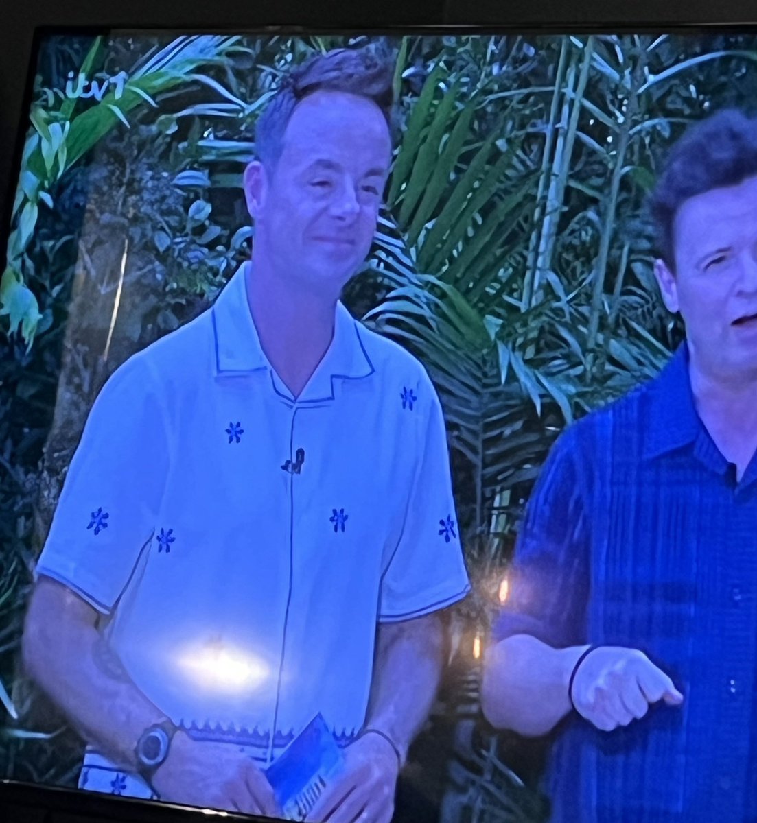 VanessaGpr's tweet photo. Ant doing a great impression of a Greek dinner plate tonight  #ImACeleb https://t.co/9lYVQorjIu