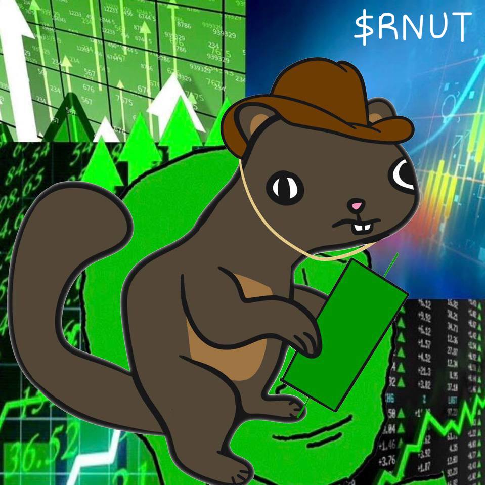 Rnut_CTO's tweet photo. @CryptoTony__ @zarerc20 $RNUT is the strategic shift we've been eager for, Ape now let's send to the moon 🚀 💯 https://t.co/jDwmC1MZDG