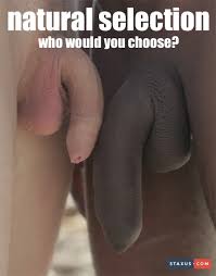 Weakwhitenation's tweet photo. The ability to successfully compete for sexual partners and resources is a key factor in natural selection. Larger penises and higher sperm production  provide an advantage in this competition, as they can increase the likelihood of impregnation.  rendering white willies useless. https://t.co/vfk9lfB61K