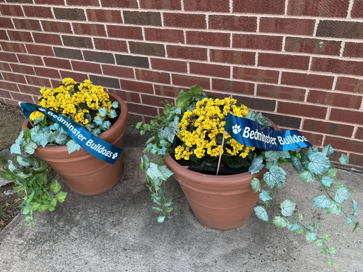 Shout out to the #BedminsterSchool Green Team for sprucing up the front of our school. Thanks to Mrs. Johnsen and Mrs. Gattone for their leadership. Great job students! #BSTGreenTeam