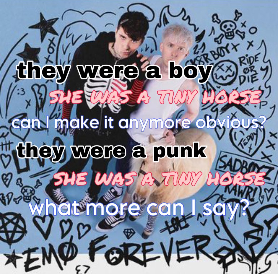 amazingtuesday's tweet image. 