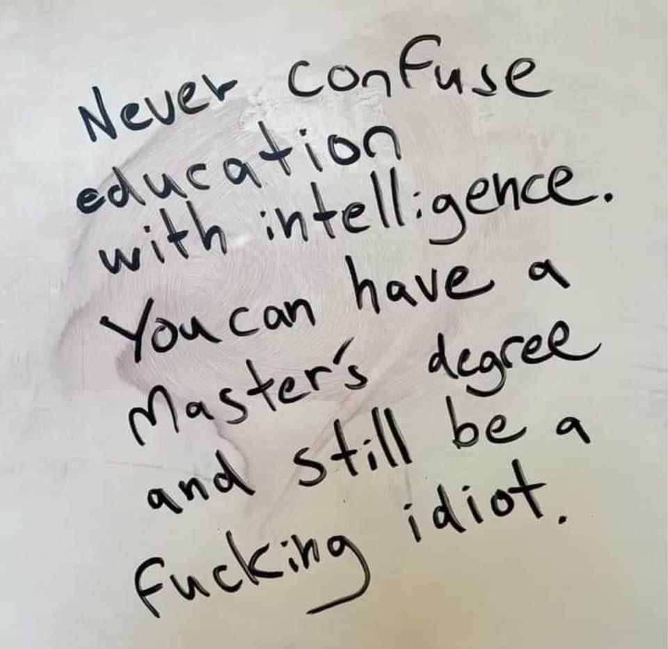 muffy kittens 🦘🇦🇺🌷🌍🦜🐕🐕 tweet media