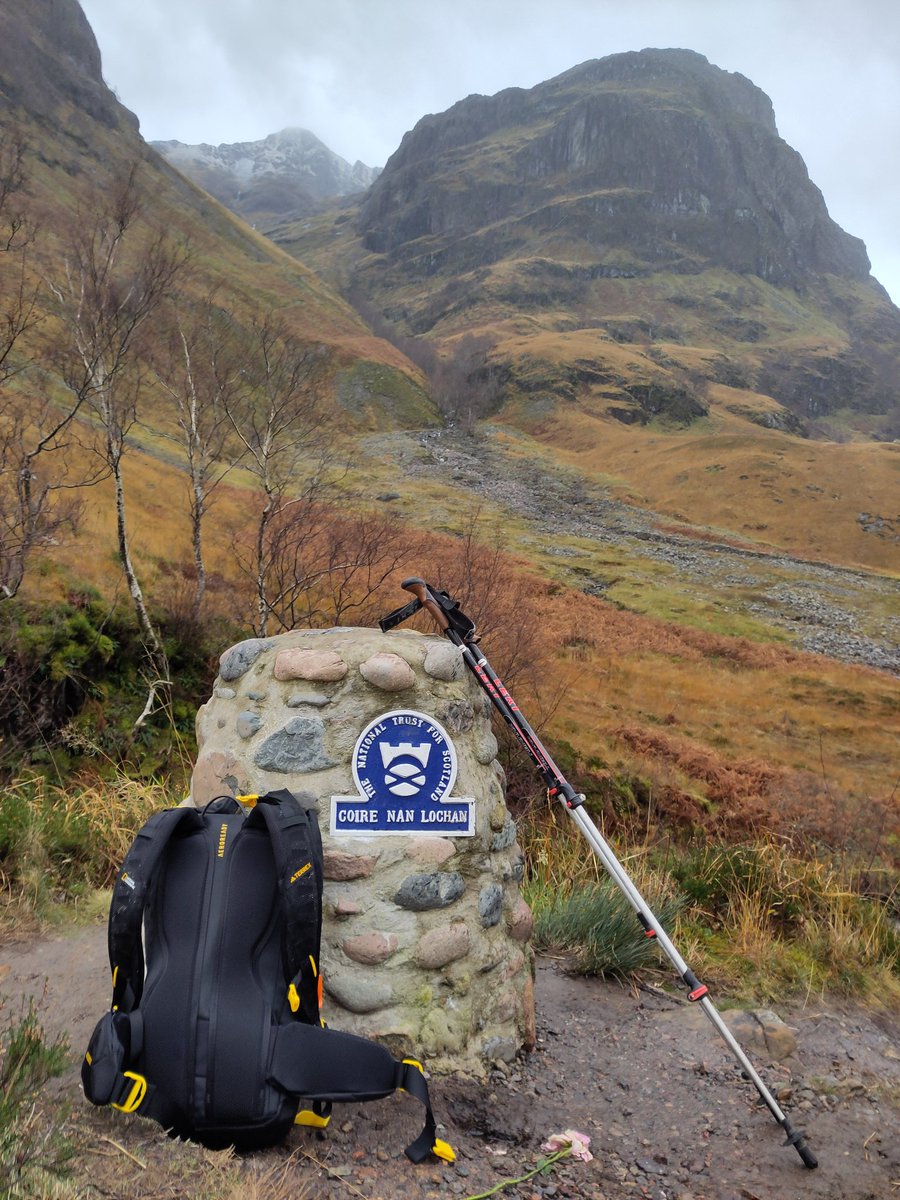 George Park tweet media