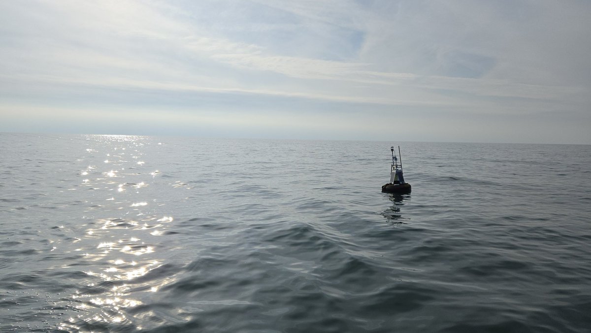 Greg Cutrell tweet media