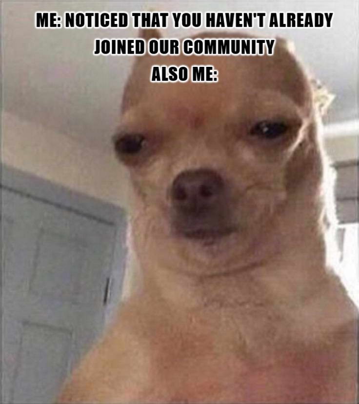 chihuahuathedog's tweet photo. Come and join our community !!!
$CTD #Chihuahua #Memes #memecoinonsolana https://t.co/AYmQw5vnpw