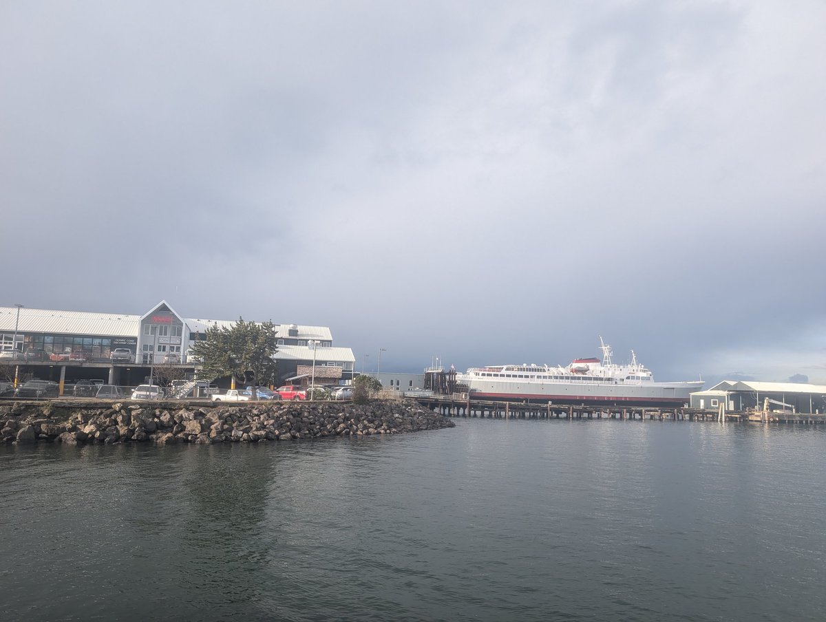 _jonathan_ahern's tweet photo. 📸 Wharf/Arcade/Ferry terminal/Transit station
🗓️11/18/24
#outdoors #camerafocus https://t.co/vgsp8HUHKh