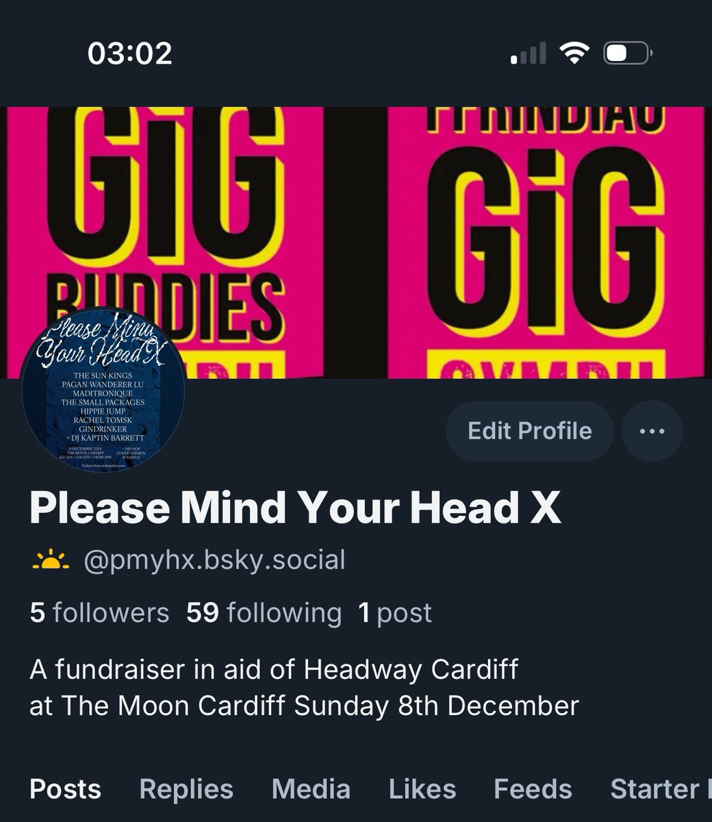 Please Mind Your Head X has accounts on bskysocial &amp; instagram!