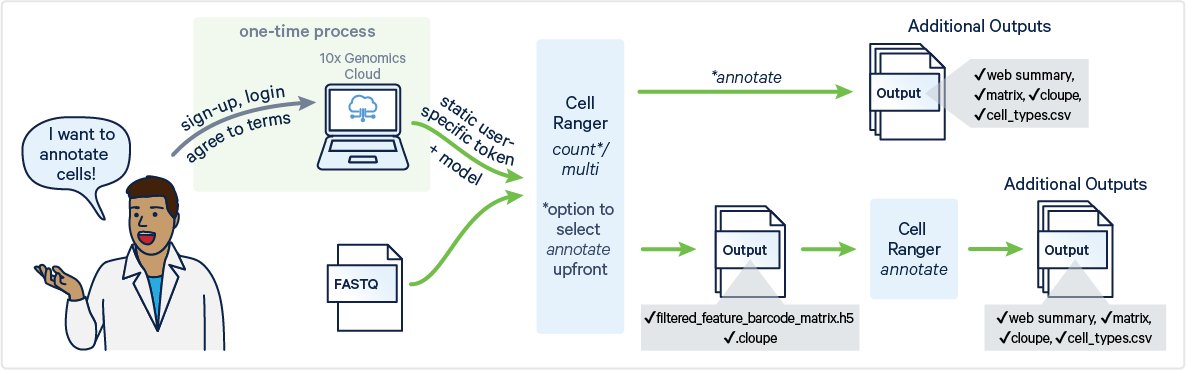 And now you can try automated cell annotation directly in Cell Ranger 9!   

10xgenomics.com/support/softwa…

#singlecell #bioinformatics #genomics