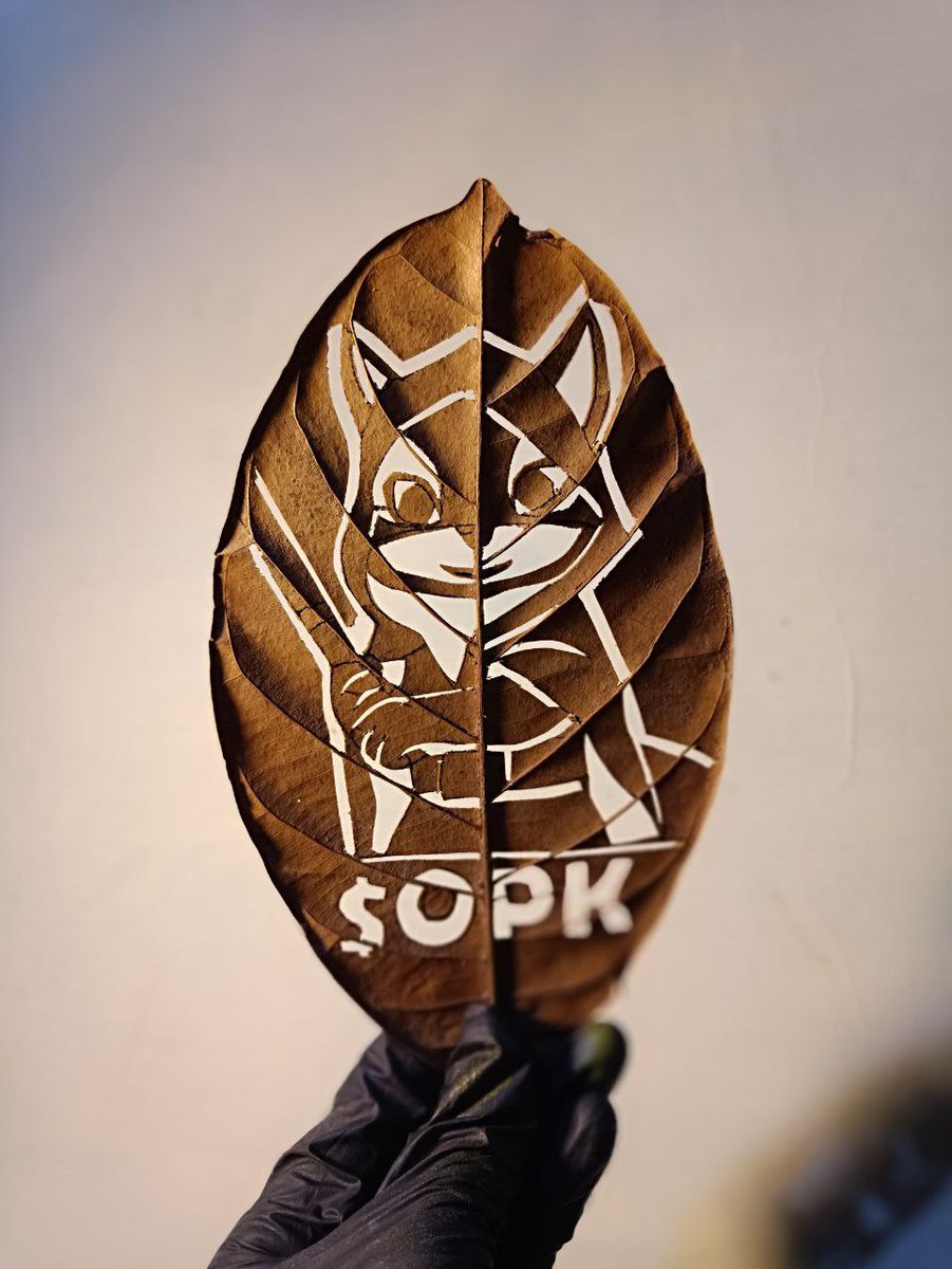 SaintNcholas's tweet photo. @NFTDEFILAND We’ll win! $OPK

@Pnut_Kenobi https://t.co/NpVwZfyely